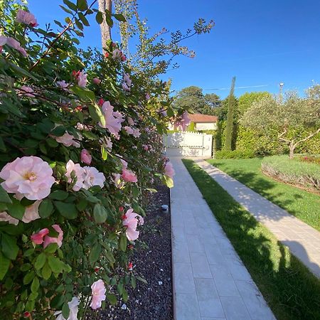 Bellaisa Bed & Breakfast Камайоре Екстериор снимка