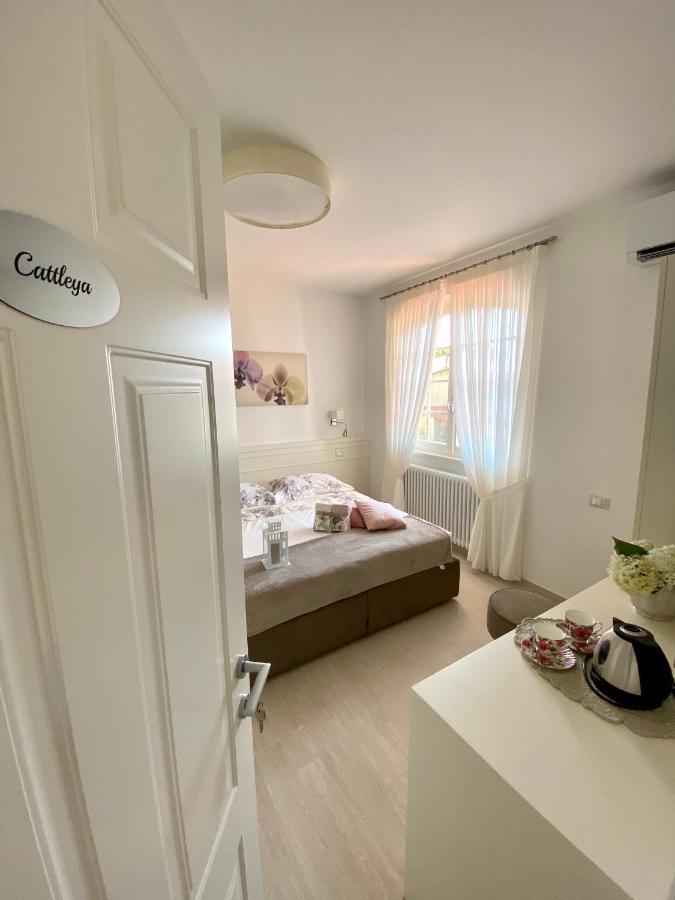 Bellaisa Bed & Breakfast Камайоре Екстериор снимка