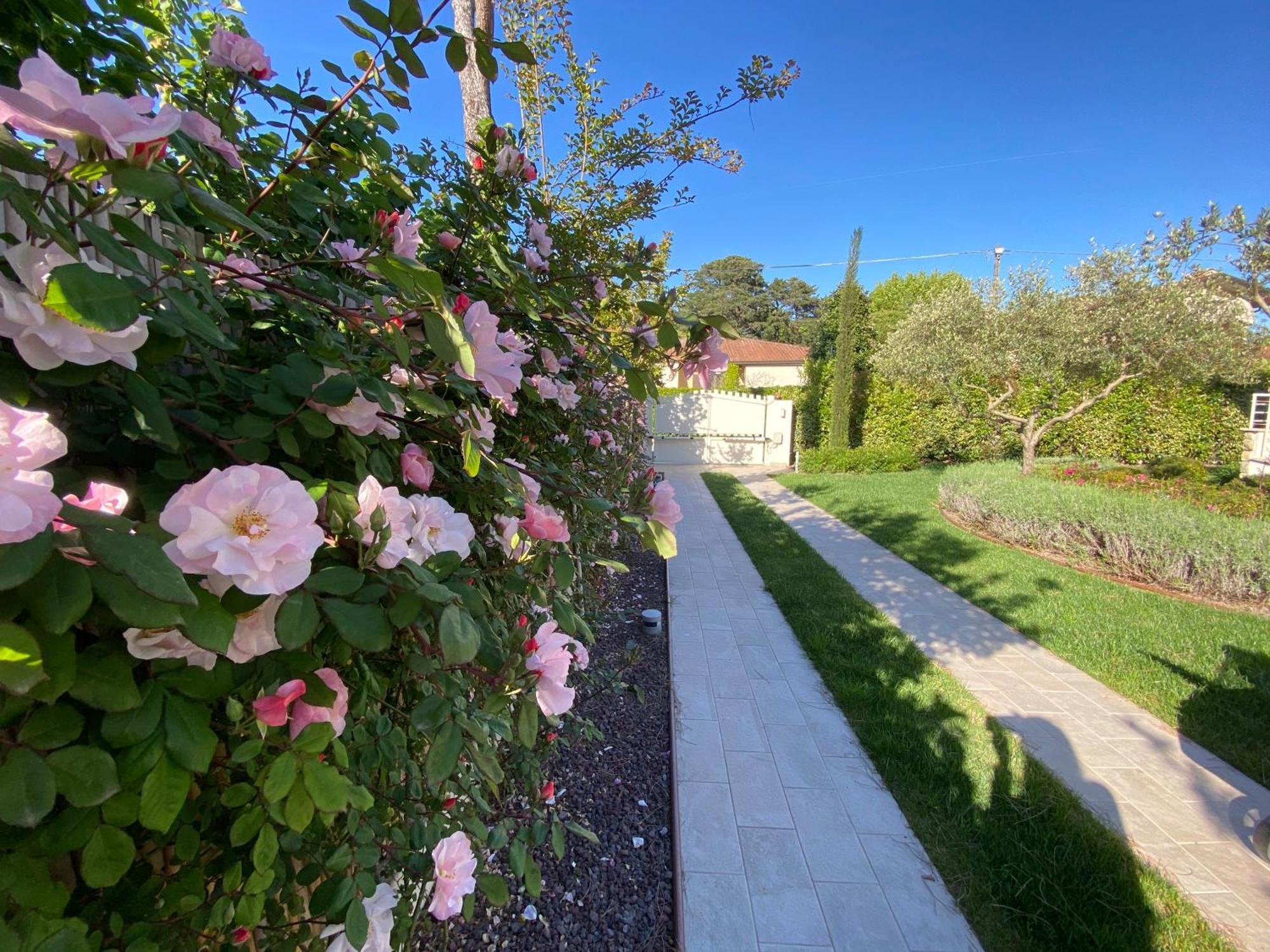 Bellaisa Bed & Breakfast Камайоре Екстериор снимка